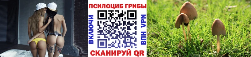 Купить где  Ачхой-Мартан  Псилоцибиновые грибы ЛСД 