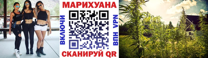 Каннабис план  Купить закладки  Ачхой-Мартан 